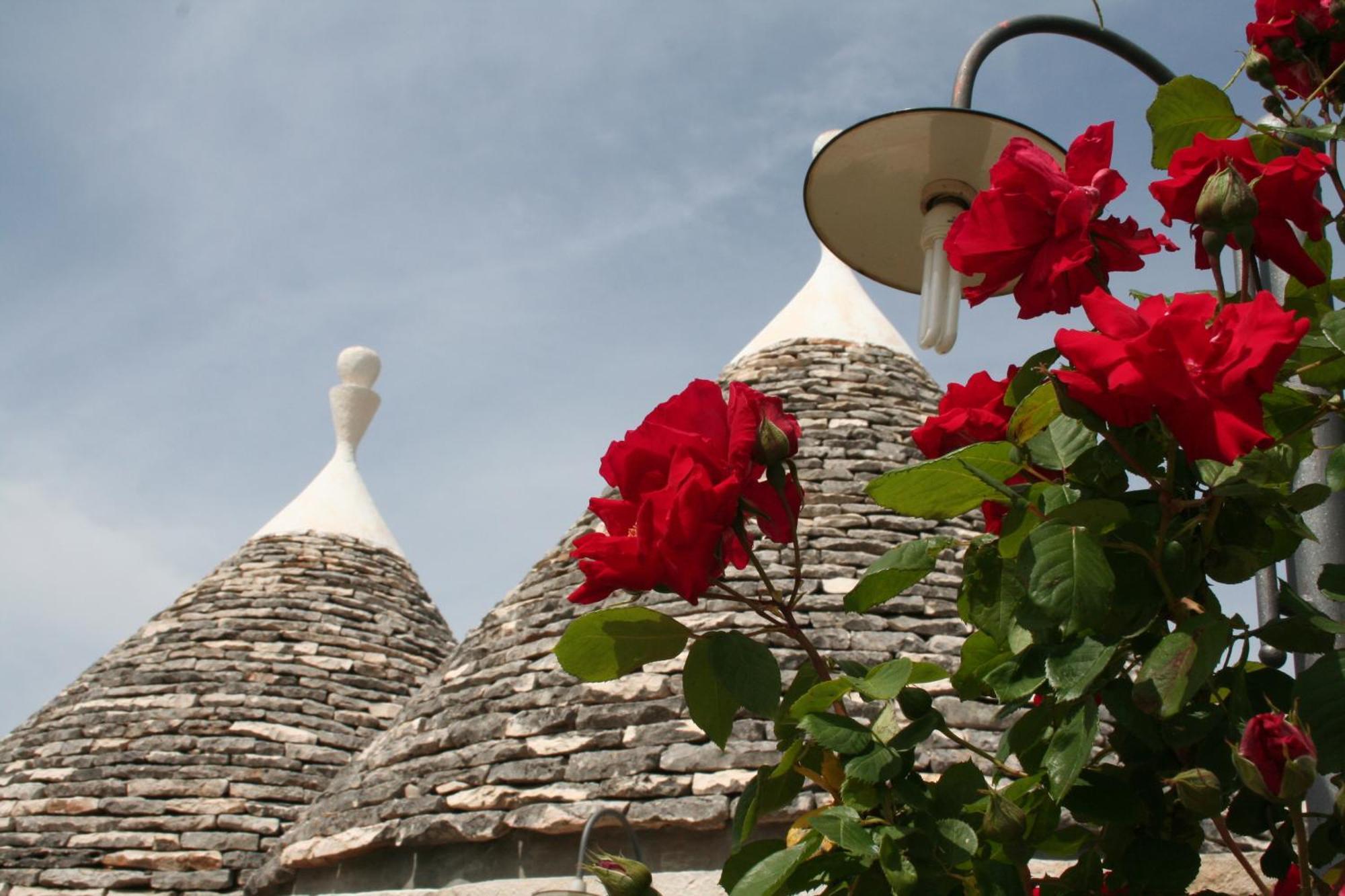 Vacanza In Puglia Alberobello Exterior photo